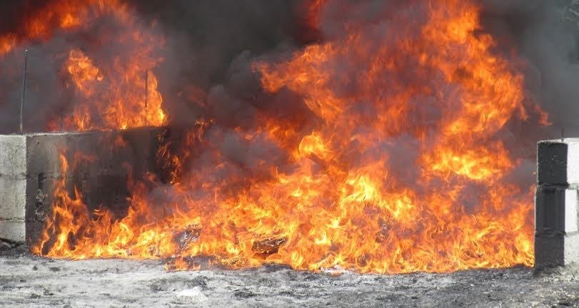 Incineran más de una tonelada de narcóticos decomisados en San Luis Potosí