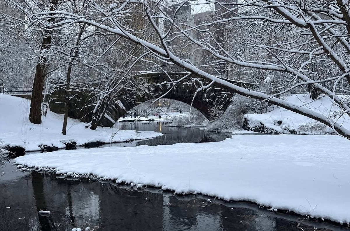 Nueva York y entidades vecinas bajo la nieve tras primera gran tormenta invernal